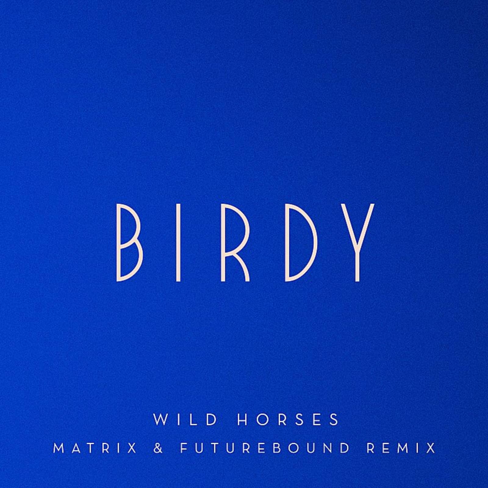 Birdy — Wild Horses (Matrix & Futurebound Remix)